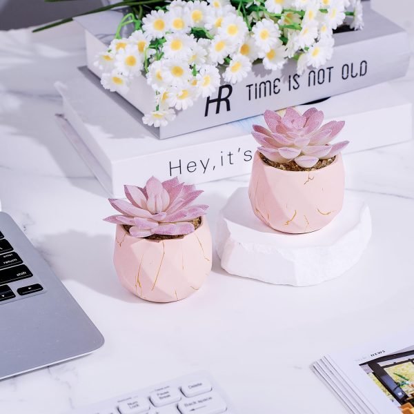 wholesale artificial succulent plants in 2 pink ceramic pots, cute fake plants for vanity decor,office, desk, bathroom, kitchen,bedroom, shelves decor for women,girls gift free samples